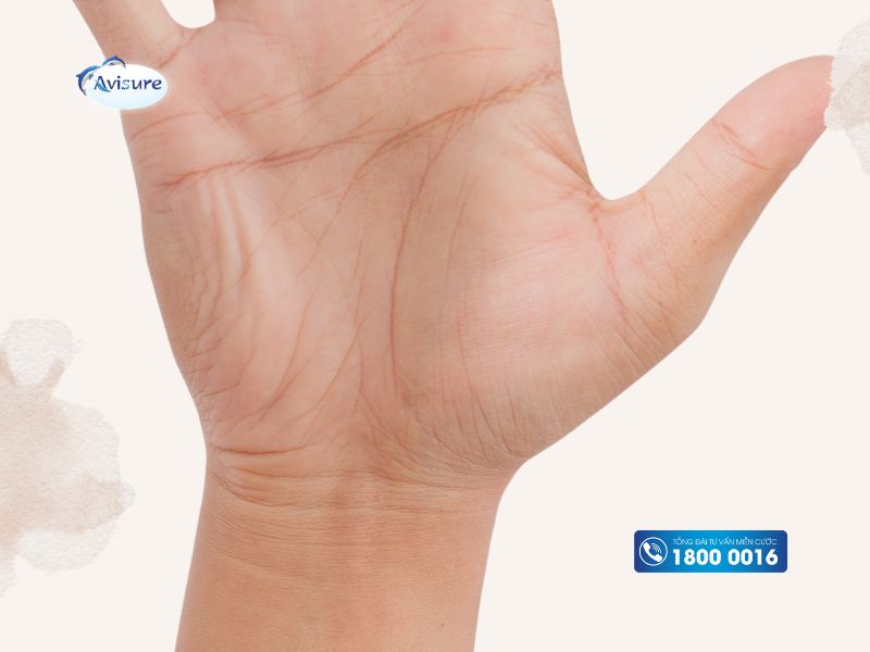 Đường chỉ tay con cái dự báo điều gì khác?